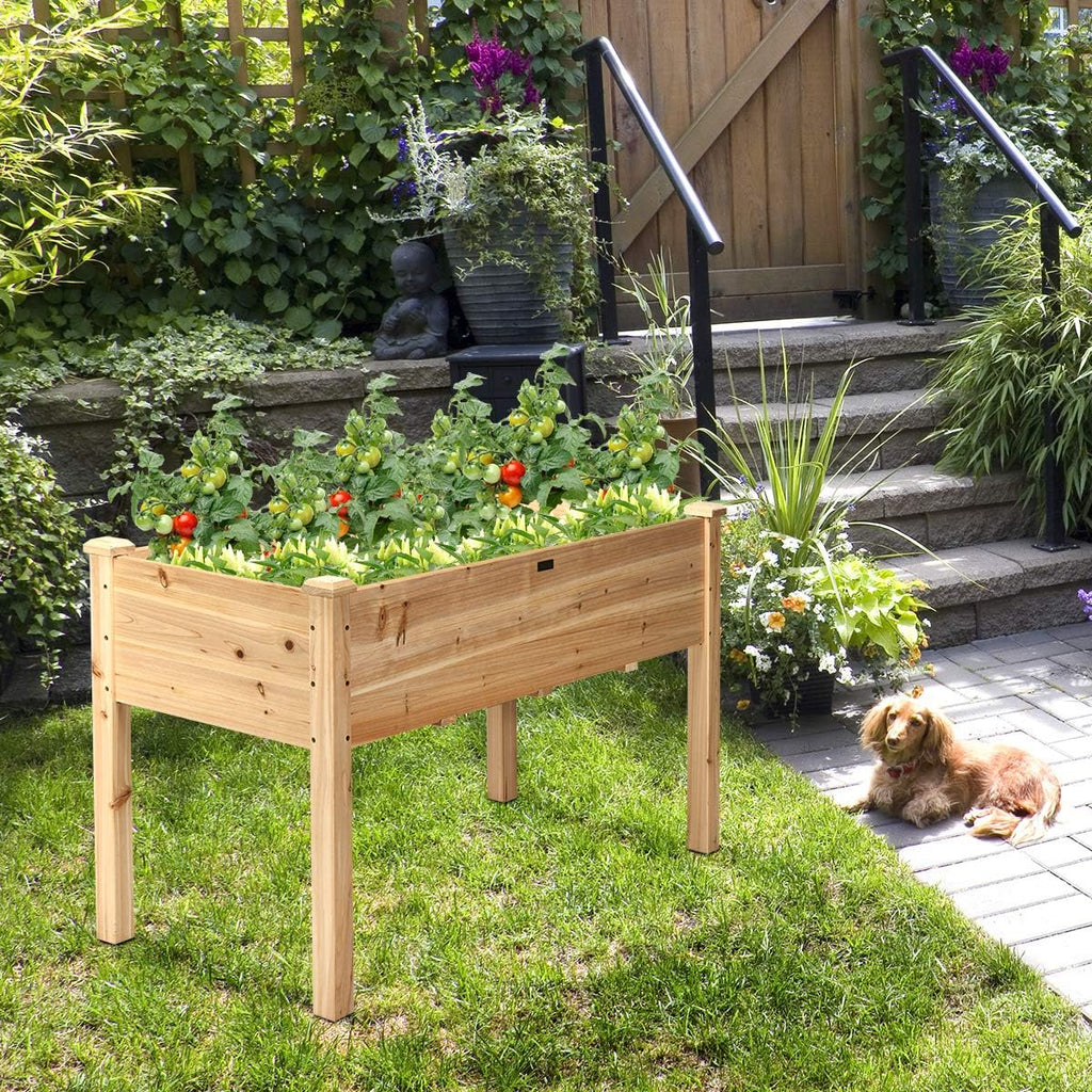 Elevated Wood Garden Bed With Legs